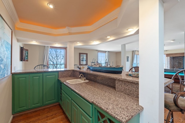 interior space with dark wood-type flooring, stone counters, a raised ceiling, sink, and green cabinetry