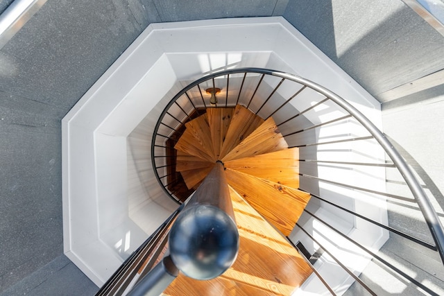 stairway with lofted ceiling