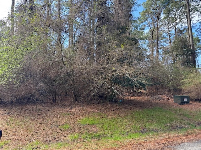 LOT1095 Amidship Dr Unit 1095, Greenbackville, VA 23356