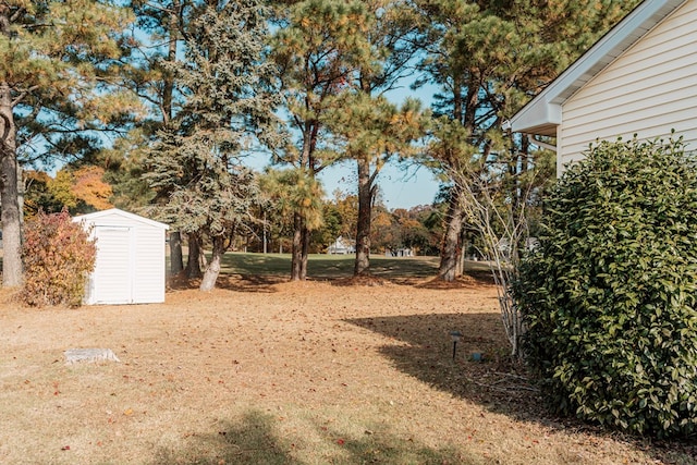 view of yard featuring a shed