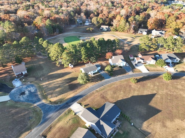 bird's eye view