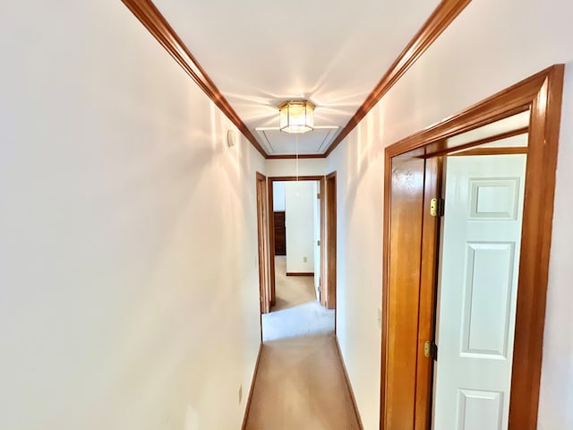 corridor featuring light colored carpet and ornamental molding