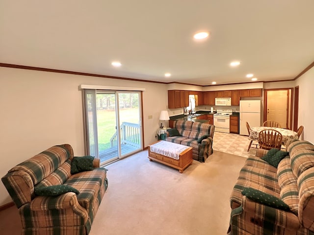 living room featuring light colored carpet, crown molding, and sink