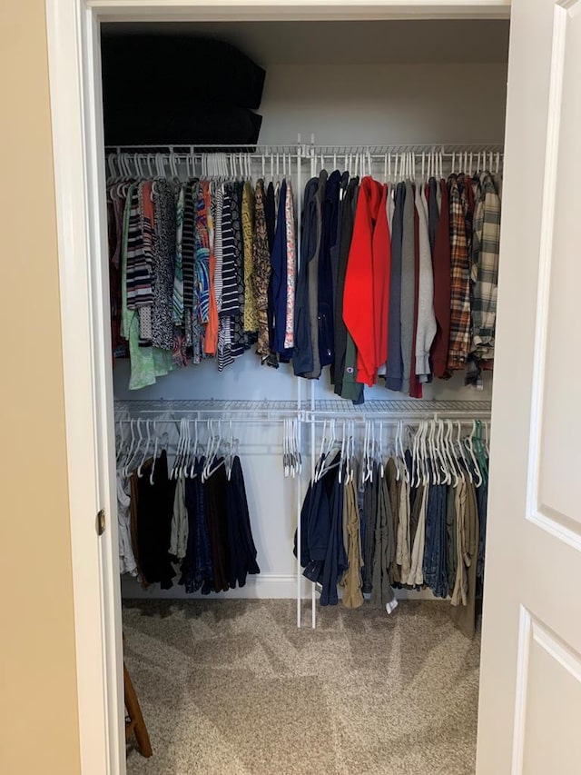 view of closet