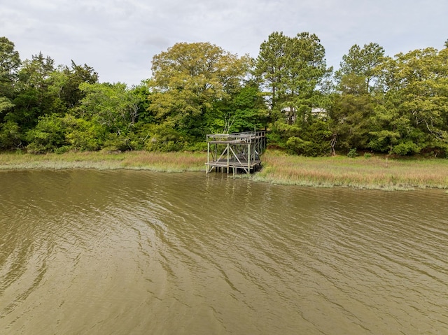 24324 Adams Hill Dr, Accomac, VA 23301 - water view