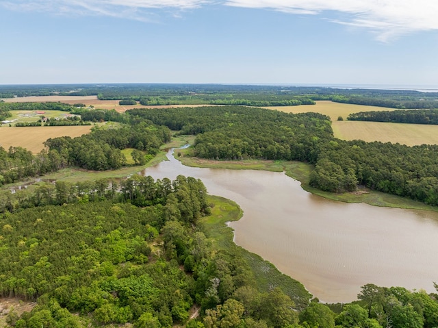 24324 Adams Hill Dr, Accomac, VA 23301 - bird's eye view of a nearby body of water and a heavily wooded area