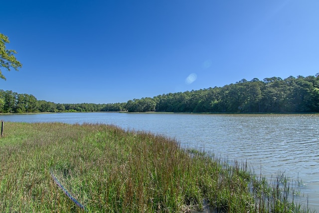 24324 Adams Hill Dr, Accomac, VA 23301 - water view featuring a forest