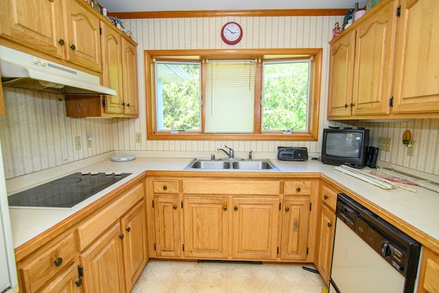 24324 Adams Hill Dr, Accomac, VA 23301 - kitchen with dishwasher, under cabinet range hood, black electric cooktop, a sink, and wallpapered walls