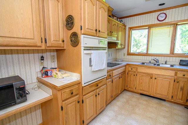 24324 Adams Hill Dr, Accomac, VA 23301 - kitchen featuring white oven, a sink, wallpapered walls, light countertops, and plenty of natural light