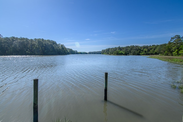 24324 Adams Hill Dr, Accomac, VA 23301 - dock with a water view and a view of trees