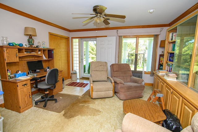 24324 Adams Hill Dr, Accomac, VA 23301 - office space featuring healthy amount of natural light, a ceiling fan, carpet flooring, and crown molding