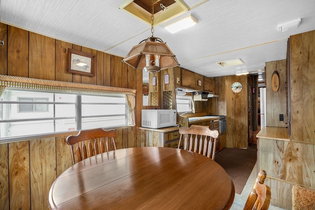 8096 Mire Pond One, Chincoteague, VA 23336 - photo 12