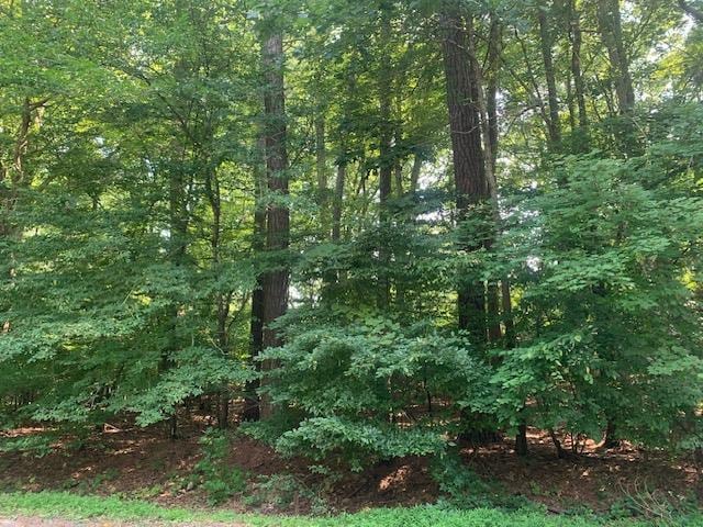 LOT Buccaneer Blvd Unit 2104, Greenbackville VA, 23356 land for sale