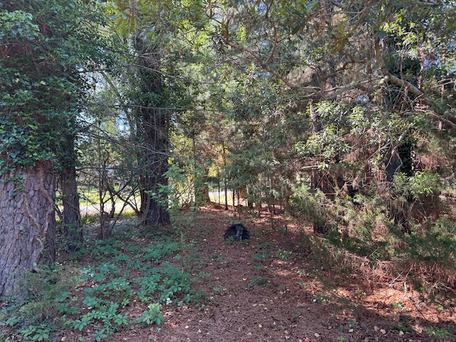 6038 Limpet Dr, Horntown, VA 23395 - photo 18