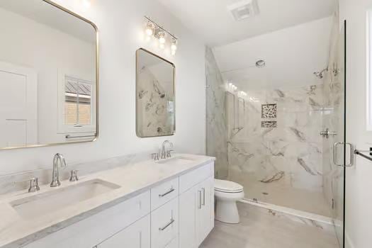 bathroom with vanity, toilet, and a shower with shower door