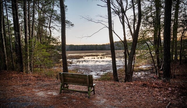 LOT265 Smugglers Way Unit 265, Greenbackville, VA 23356