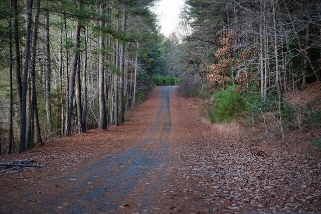 LOT265 Smugglers Way Unit 265, Greenbackville, VA 23356