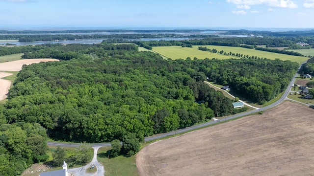 3315 Seaside Rd, Exmore, VA 23350 - bird's eye view of a large body of water and a forest