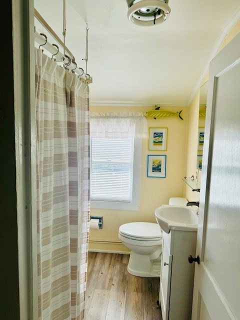 bathroom featuring vanity, hardwood / wood-style flooring, toilet, and ornamental molding