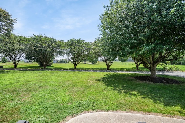 12148 Atlantic Rd, Temperanceville, VA 23442 - photo 55