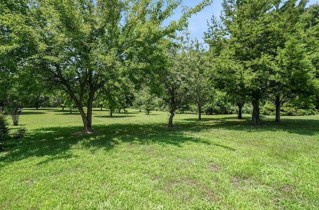 12148 Atlantic Rd, Temperanceville, VA 23442 - photo 53