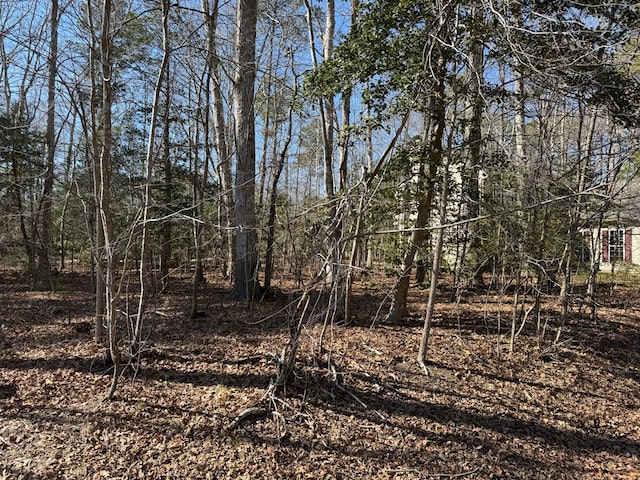 Listing photo 2 for LOT2378 Brigantine Blvd Unit 2378, Greenbackville VA 23356