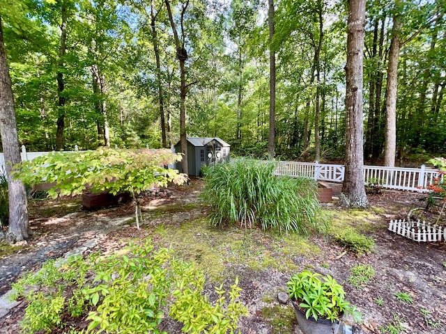 view of yard with a storage unit