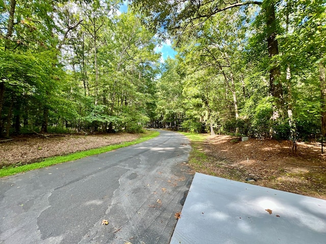 25088 Serenity Ln, Onancock, VA 23417 - photo 4