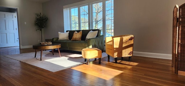 10117 Pine Ave, Nassawadox, VA 23413 - living area with plenty of natural light, baseboards, and wood finished floors