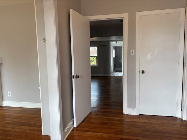 hall featuring dark wood-type flooring