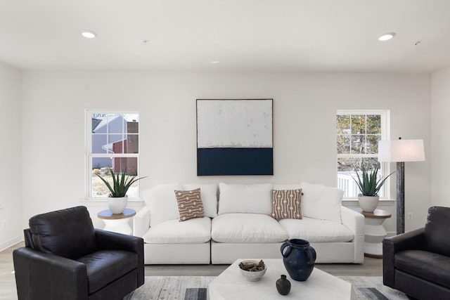 living room featuring light hardwood / wood-style floors