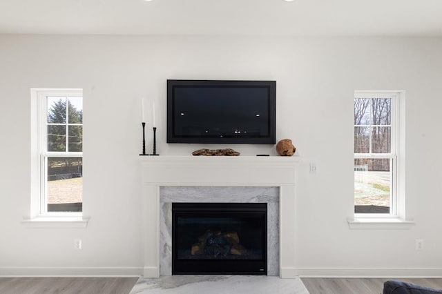 details featuring hardwood / wood-style floors and a high end fireplace