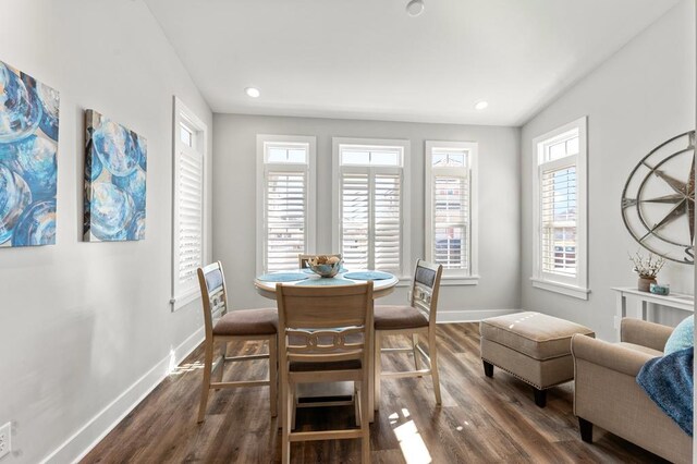 dining space featuring hardwood / wood-style floors