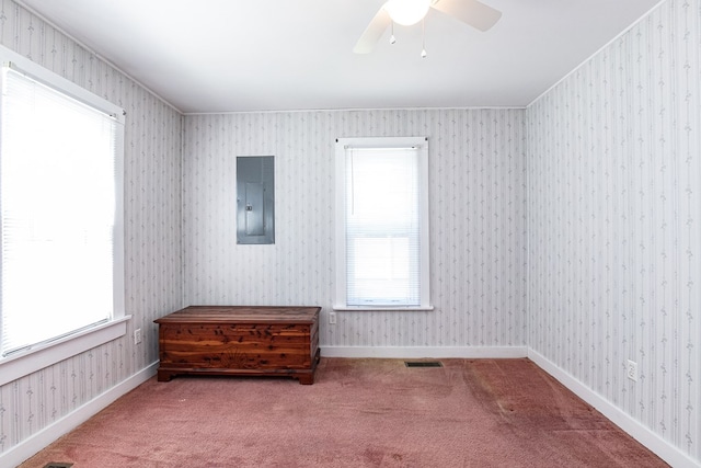 24103 Adelaide St, Parksley, VA 23421 - carpeted empty room featuring electric panel, plenty of natural light, and ceiling fan