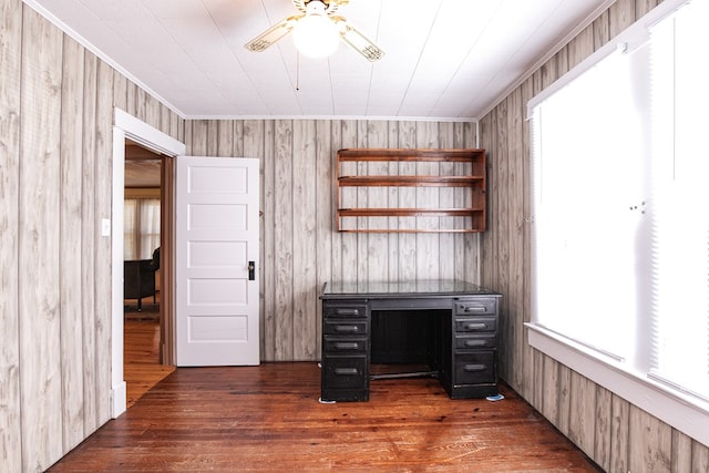 24103 Adelaide St, Parksley, VA 23421 - unfurnished office featuring healthy amount of natural light, a ceiling fan, dark wood-type flooring, wood walls, and ornamental molding