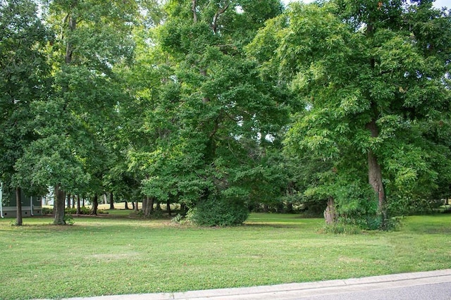110 Heron Pointe Dr Unit 58, Cape Charles, VA 23310 - photo 4