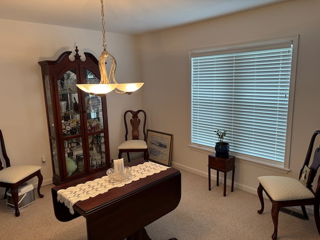 36101 Upshur Neck Rd, Quinby, VA 23423 - photo 19