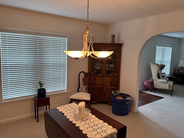 36101 Upshur Neck Rd, Quinby, VA 23423 - photo 18