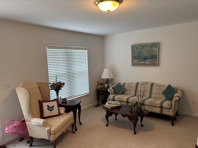 36101 Upshur Neck Rd, Quinby, VA 23423 - photo 9