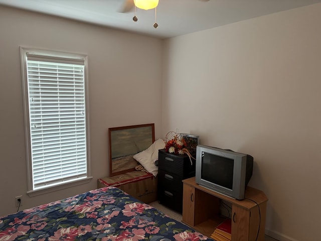 36101 Upshur Neck Rd, Quinby, VA 23423 - photo 24