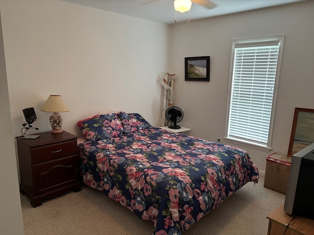 36101 Upshur Neck Rd, Quinby, VA 23423 - photo 25