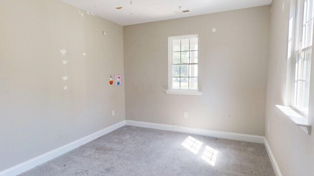 3271 Thurgood Marshall Rd, Exmore, VA 23350 - photo 28