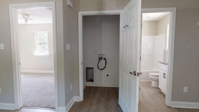 3271 Thurgood Marshall Rd, Exmore, VA 23350 - photo 33