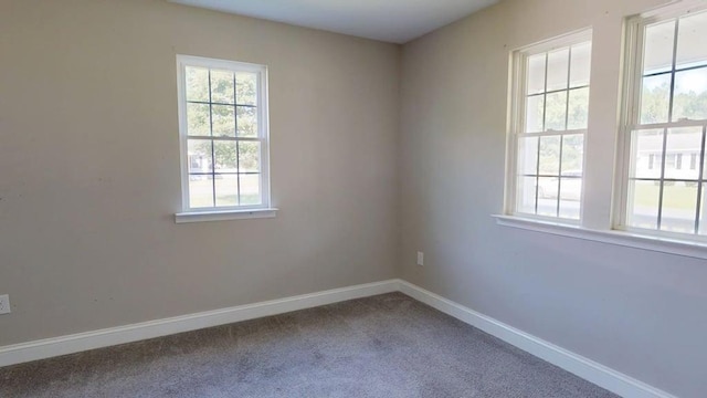 3271 Thurgood Marshall Rd, Exmore, VA 23350 - photo 18