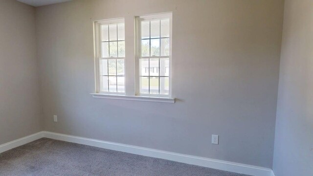 3271 Thurgood Marshall Rd, Exmore, VA 23350 - photo 19