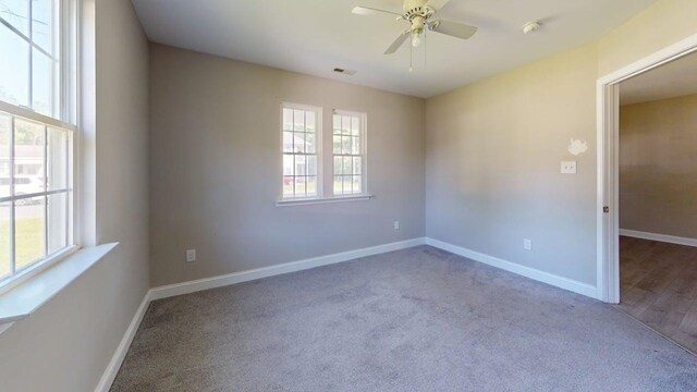 3271 Thurgood Marshall Rd, Exmore, VA 23350 - photo 37