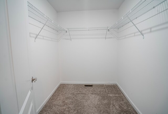 walk in closet featuring carpet and visible vents