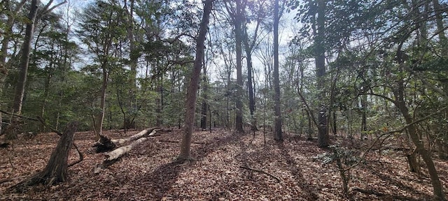 Listing photo 2 for LOT12 Wilsonia Shores Dr Unit 12, Machipongo VA 23405