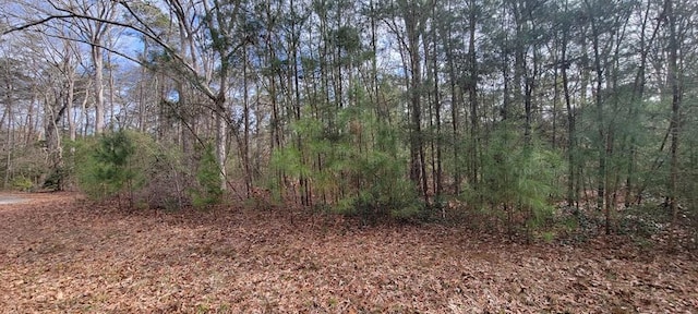 LOT12 Wilsonia Shores Dr Unit 12, Machipongo VA, 23405 land for sale