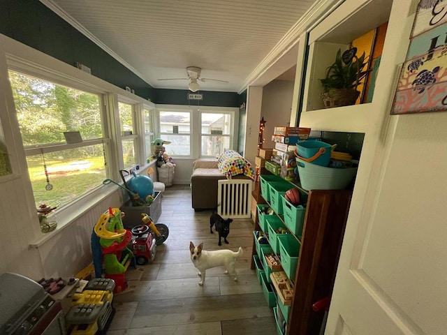 sunroom featuring ceiling fan